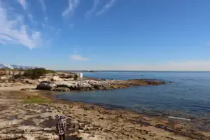 2025-06-22 La Perouse - IMG_2783_compressed_q50.webp